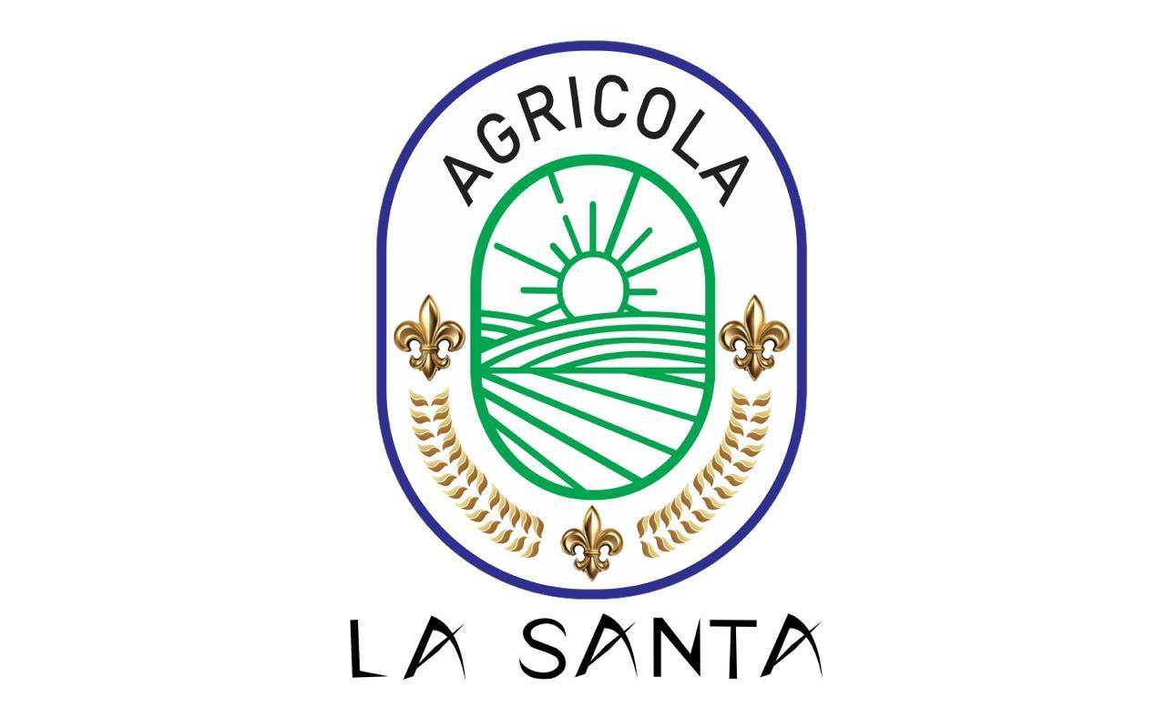 Logo 2