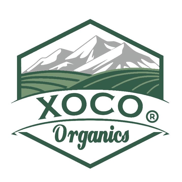 Logo 4