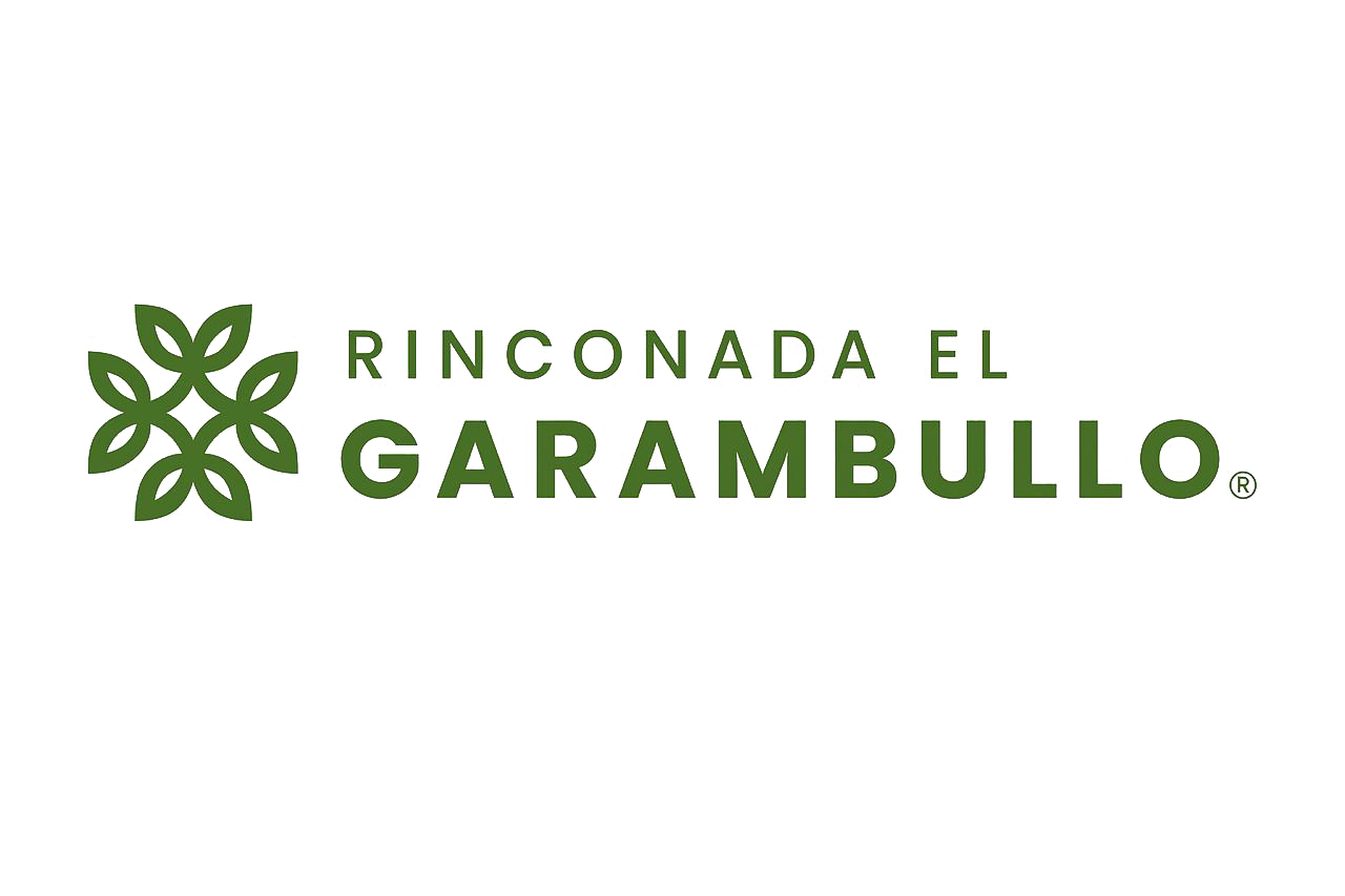 Logo 6